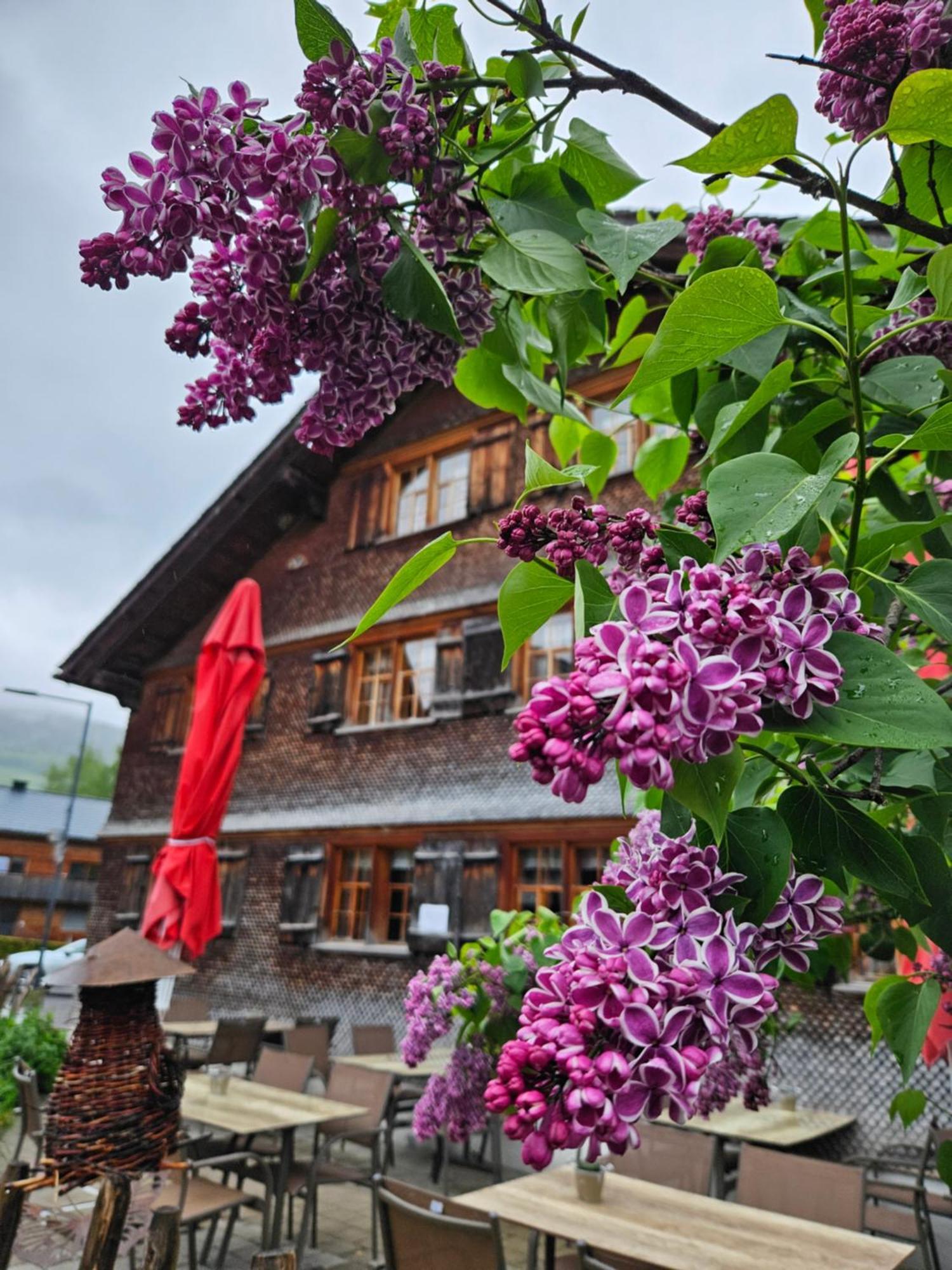 Pensión Naze's Hus *